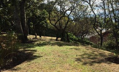 OPORTUNIDAD ÚNICA: EL TERRENO MÁS EXCLUSIVO EN MONTESERRÍN - CAMPO ALEGRE