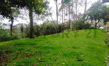 OPORTUNIDAD ÚNICA: EL TERRENO MÁS EXCLUSIVO EN MONTESERRÍN - CAMPO ALEGRE