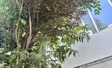 RENTO CASA EN PASEOS DE TAXQUEÑA, COYOACAN