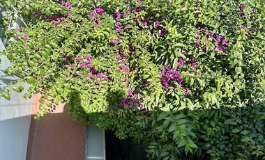 RENTO CASA EN PASEOS DE TAXQUEÑA, COYOACAN