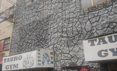 Edificio en venta en Vista Alegre, Cuauhtémoc, Ciudad de México