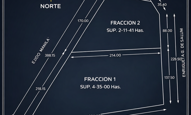 TERRENO COMERCIAL EN VENTA, EJIDO MANILA, GÓMEZ PALACIO DGO