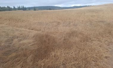 Casa en venta en PICHILEMU