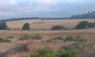 Casa en venta en PICHILEMU