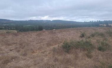 Casa en venta en PICHILEMU