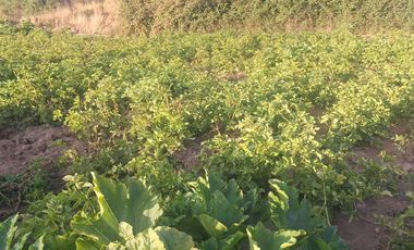 Casa en venta en PICHILEMU