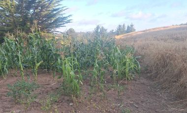 Casa en venta en PICHILEMU