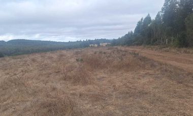 Casa en venta en PICHILEMU