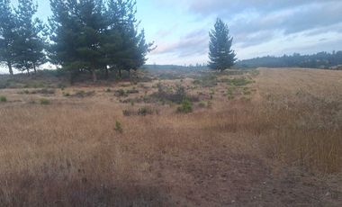 Casa en venta en PICHILEMU