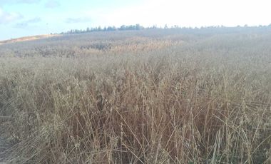 Casa en venta en PICHILEMU