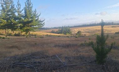 Casa en venta en PICHILEMU