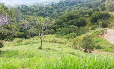 VENTA FINCA EN PORCE - Vereda Cuatro Esquinas - Nordeste Antioqueño