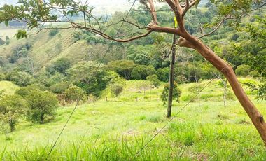 VENTA FINCA EN PORCE - Vereda Cuatro Esquinas - Nordeste Antioqueño