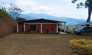 VENTA FINCA EN PORCE - Vereda Cuatro Esquinas - Nordeste Antioqueño