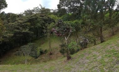 VENTA CASA FINCA EN EL RETIRO