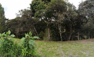 VENTA CASA FINCA EN EL RETIRO