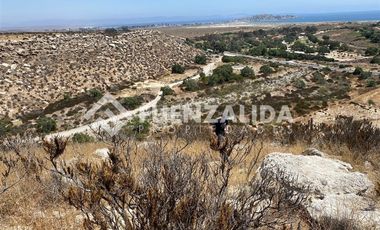Sitio en Venta en Camino Tongoy Guanaqueros frente a Puerto Velero Ruta D 427