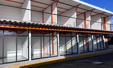 Locales en Renta en Santiaguito