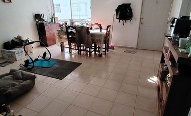 Departamento Renta Río Consulado