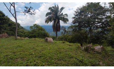 GIA 351 LOTES EN LA MESA CUNDINAMARCA