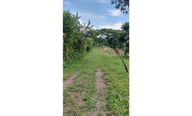 GIA 351 LOTES EN LA MESA CUNDINAMARCA