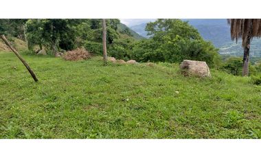 GIA 351 LOTES EN LA MESA CUNDINAMARCA