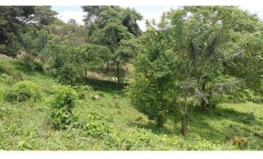 GIA 351 LOTES EN LA MESA CUNDINAMARCA