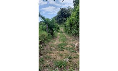 GIA 351 LOTES EN LA MESA CUNDINAMARCA