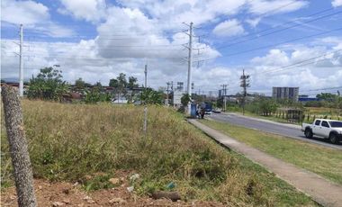 ALQUILO TERRENO EN MAÑANITAS DE 1990M2