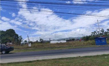 ALQUILO TERRENO EN MAÑANITAS DE 1990M2