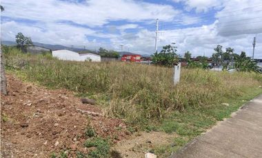 ALQUILO TERRENO EN MAÑANITAS DE 1990M2