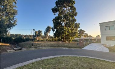 Venta Lote Rumenco Joven.