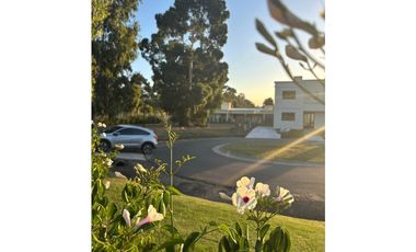 Venta Lote Rumenco Joven.