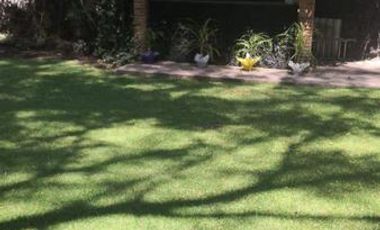 Santa Catarina centro de coyoacán casa en renta