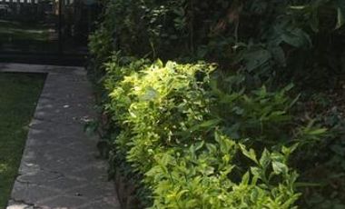 Santa Catarina centro de coyoacán casa en renta