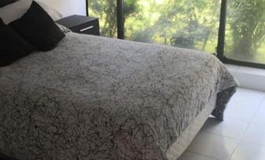 Santa Catarina centro de coyoacán casa en renta