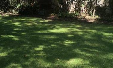 Santa Catarina centro de coyoacán casa en renta