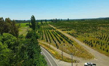 Sitio en Venta en Camino Cerro Colorado