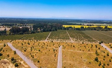 Sitio en Venta en Camino Cerro Colorado