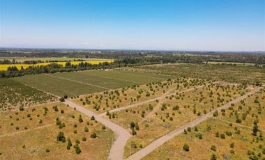 Sitio en Venta en Camino Cerro Colorado