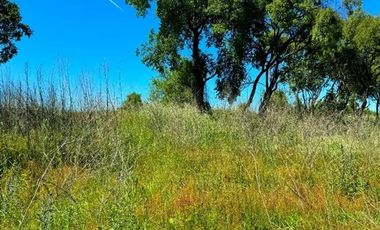 Sitio en Venta en Camino Cerro Colorado