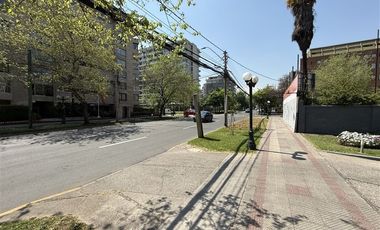 Oficina en Arriendo en Eliodoro Yañez 1649