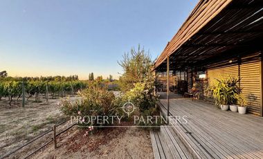 Peralillo, Refugio Boutique con Viñedo Orgánico y Vistas al Atardecer