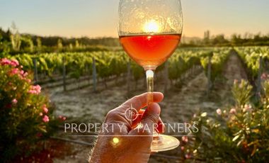 Peralillo, Refugio Boutique con Viñedo Orgánico y Vistas al Atardecer