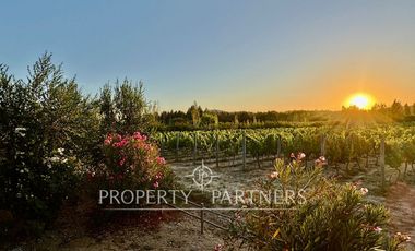 Peralillo, Refugio Boutique con Viñedo Orgánico y Vistas al Atardecer