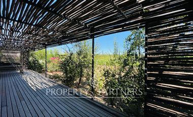 Peralillo, Refugio Boutique con Viñedo Orgánico y Vistas al Atardecer