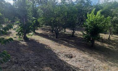 VENTA de FINCAS en EL AGRADO