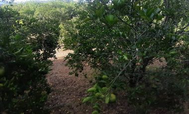 VENTA de FINCAS en EL AGRADO