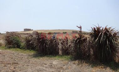 Se Vende Terreno De 6.32 Has En Supe Puerto Barranca