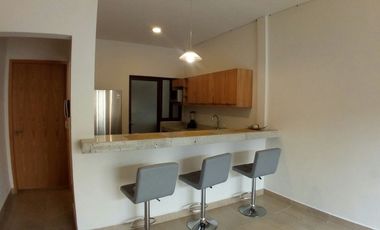 DEPARTAMENTO AMUEBLADO EN RENTA. CARMEN, CAMPECHE